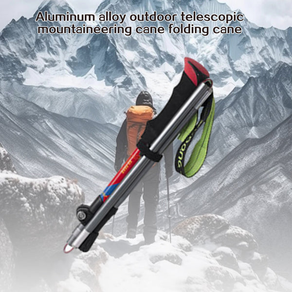 Trekking Poles Walking Stick 