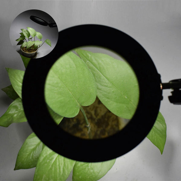 LED Magnifier Glass Desk Lamp 