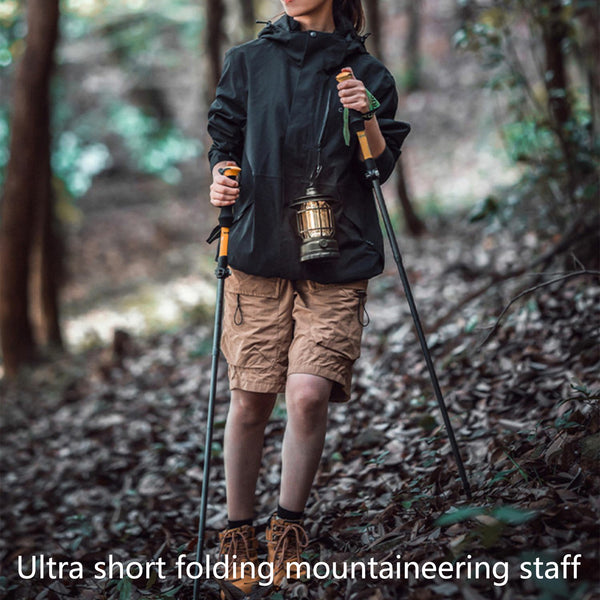 Trekking Poles Walking Stick 
