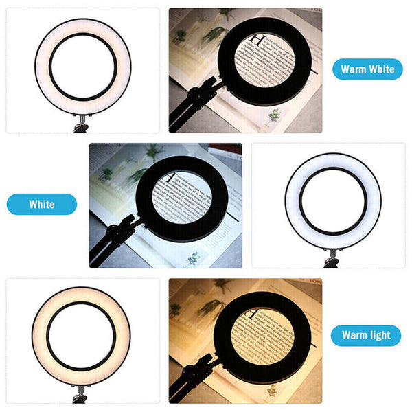 LED Magnifier Glass Desk Lamp 