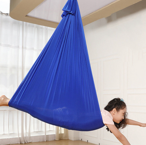 Raindrop Elastic Swing Therapy   Includes Ceiling Hook