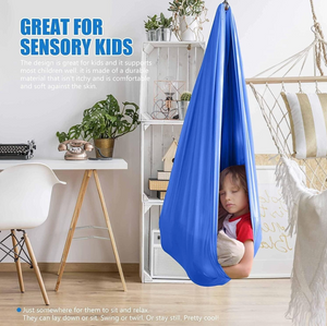 Raindrop Elastic Swing Therapy   Includes Ceiling Hook