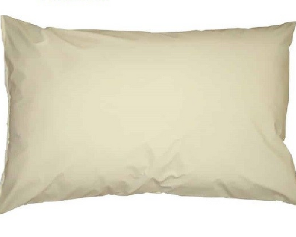 Waterproof PVC Pillow