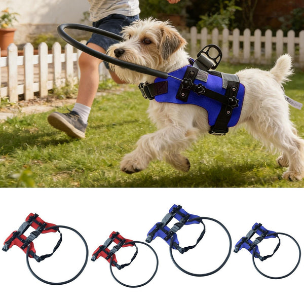 Blind Dog Harness Navigation Collar 
